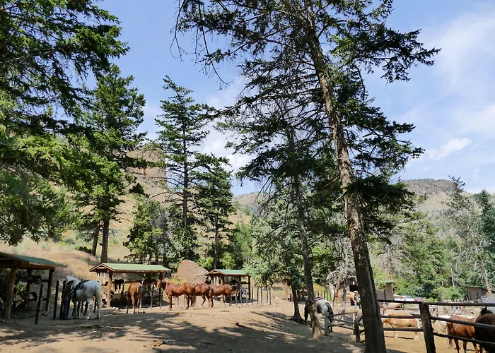 Bill Ranch Hotel 5*