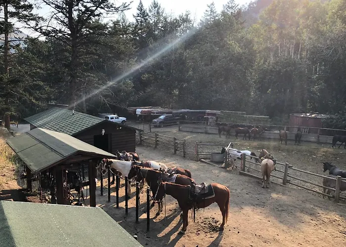 Bill Ranch Cody