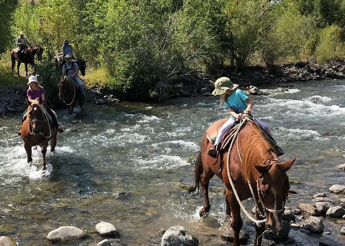 Bill Ranch 5*