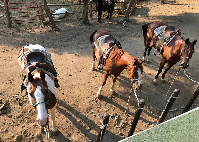 Hotel Bill Ranch 5*