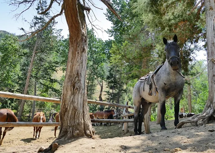 Hotel Bill Ranch