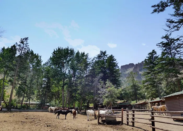Hotel Bill Ranch 5*
