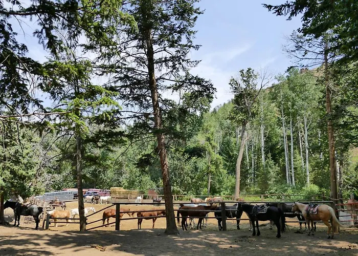 Hotel Bill Ranch Cody