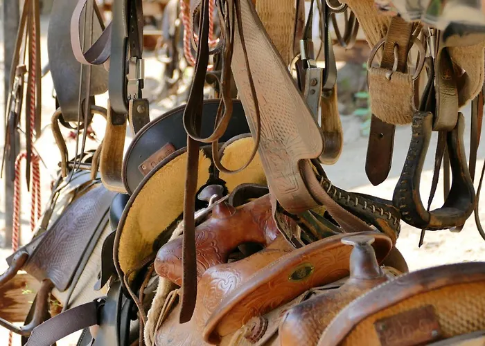 Bill Ranch